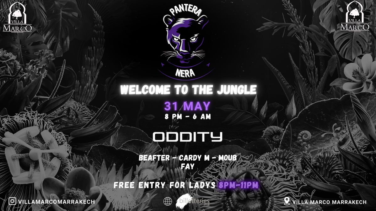 PANTERA NERA – Jungle Night