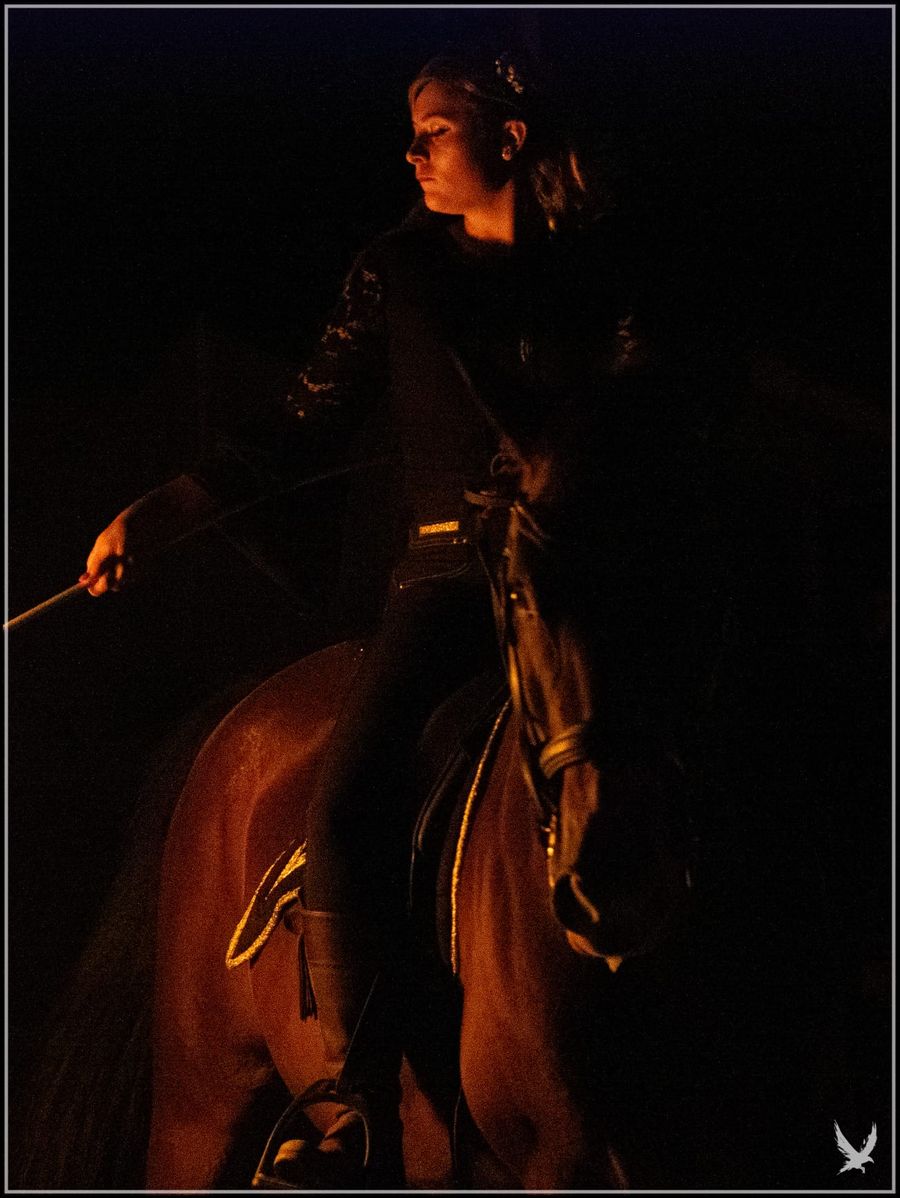 Spectacle son et lumière équestre