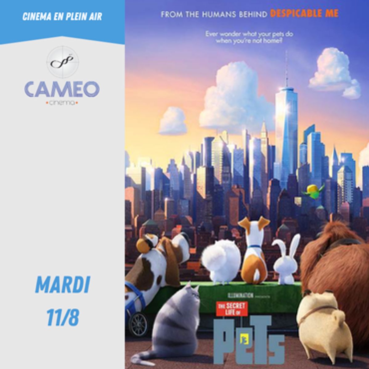 Comme des bêtes (VF) - Mardi 11 Août 2026