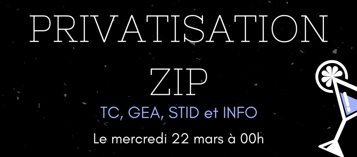Privatisation ZIP