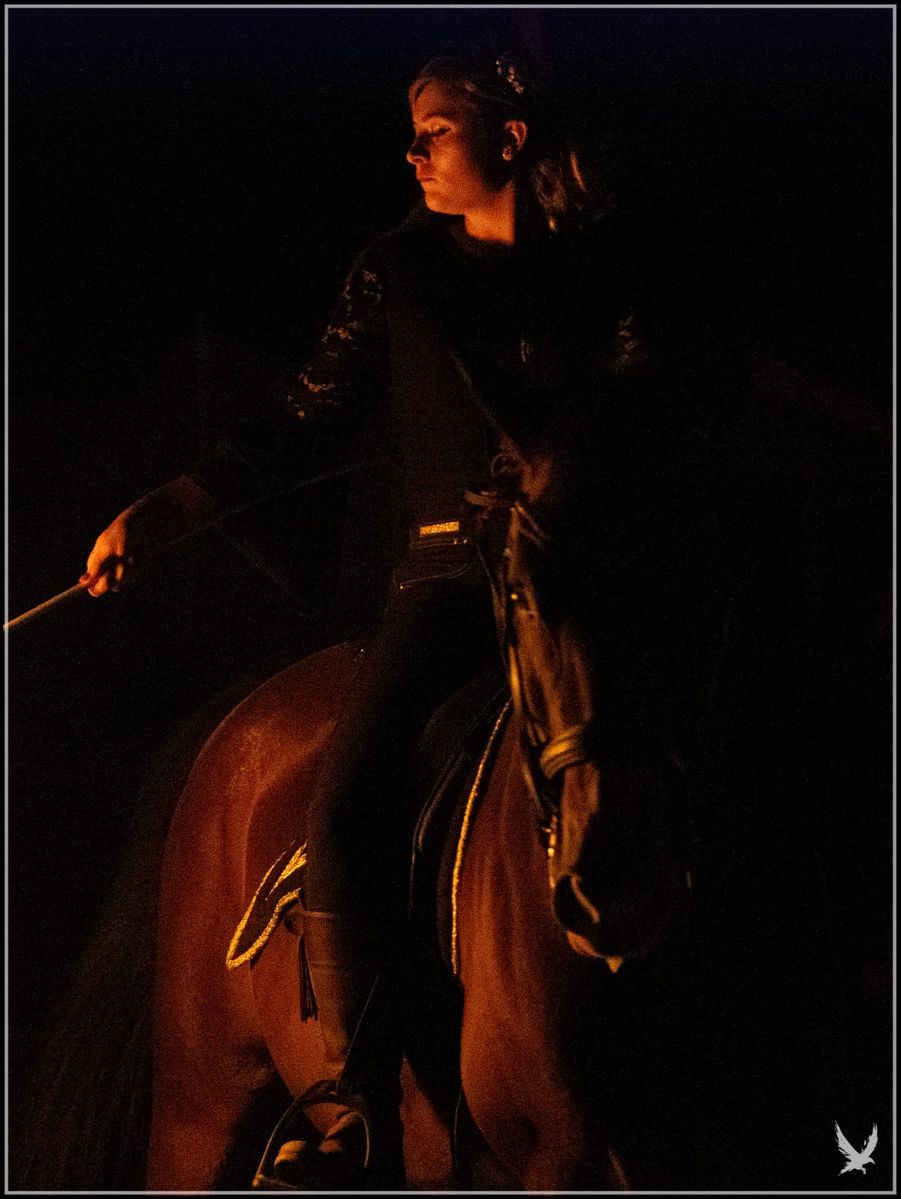 Spectacle son et lumière équestre