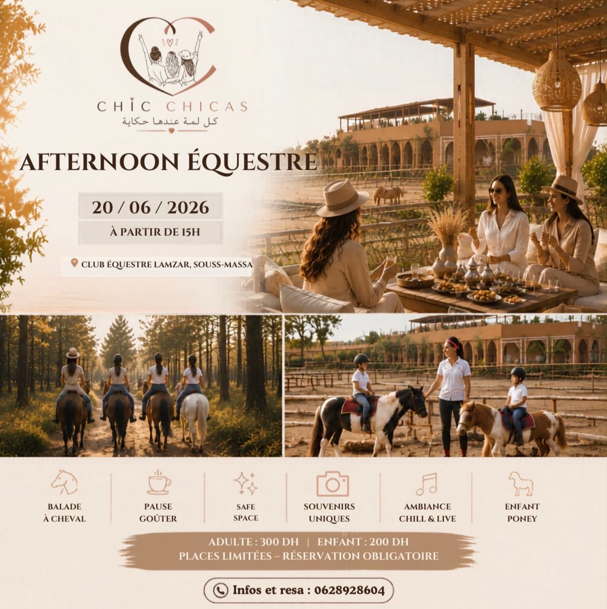 Afternoon Equestre