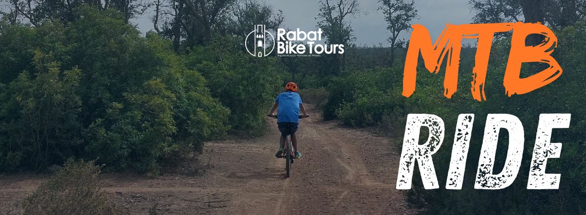 MTB Half Day Tour