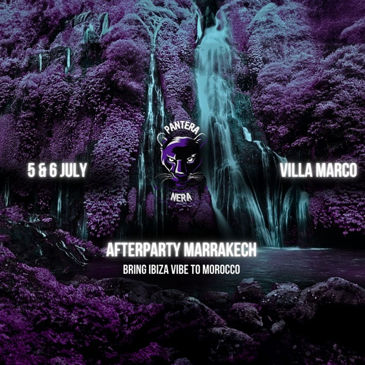 🌴 AFTERPARTY PANTERA NERA