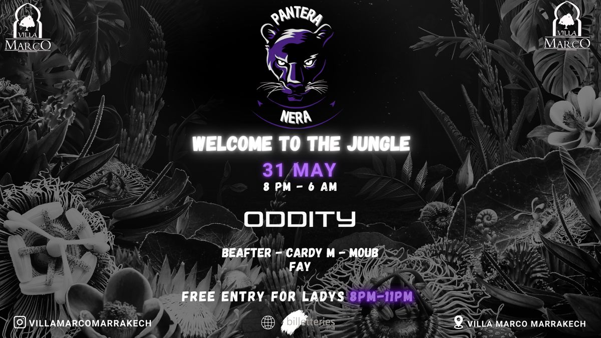PANTERA NERA – Jungle Night