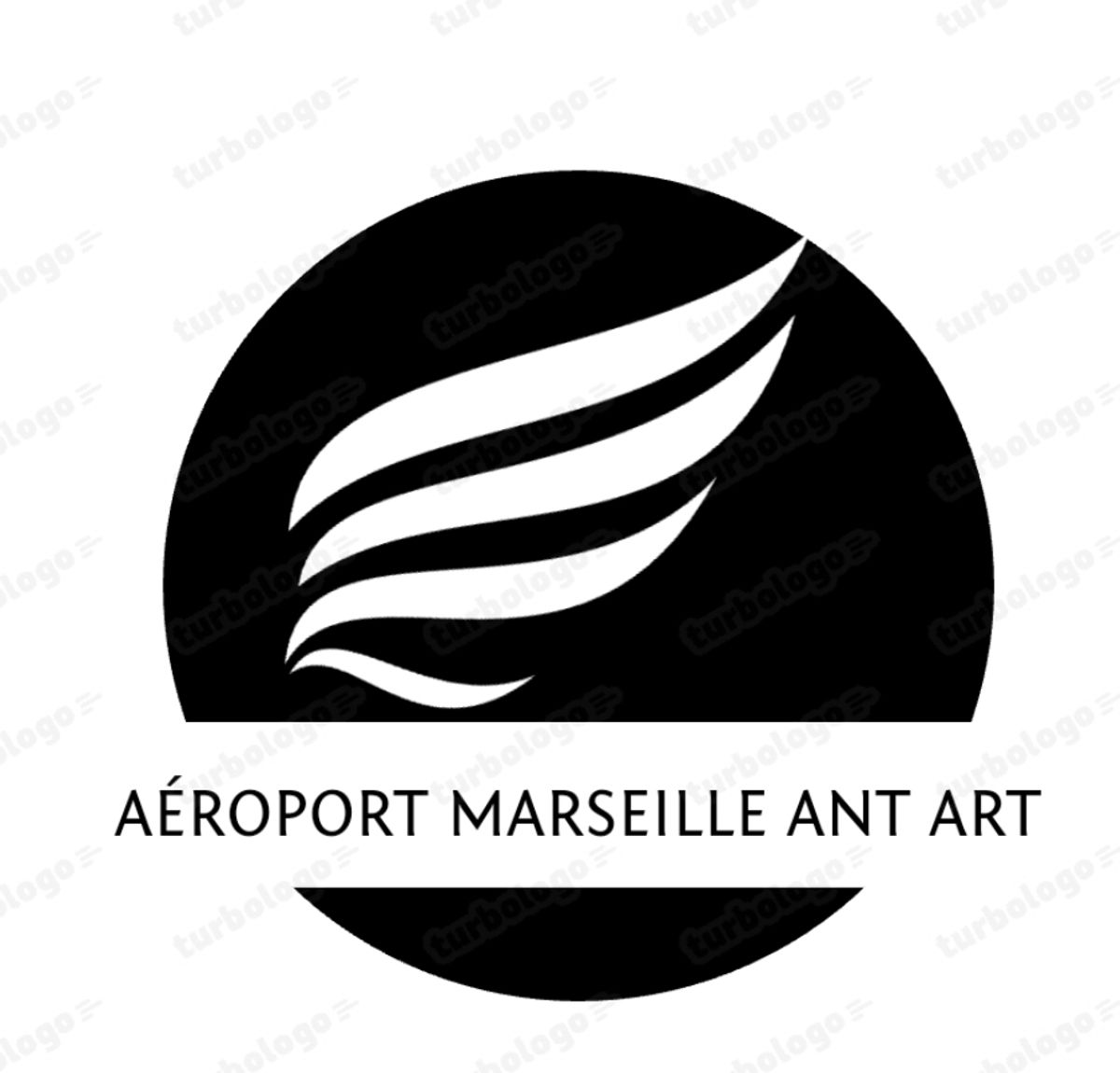 2 mois de la création de l'aéroport Marseille ANT ART