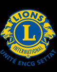 Logo lions