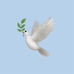 Logo SOLIDARITE COEUR ACTIF